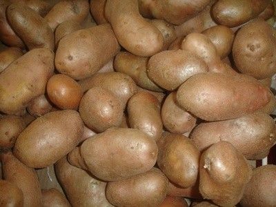 полезные свойства картофеля