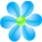 Голубые цветки