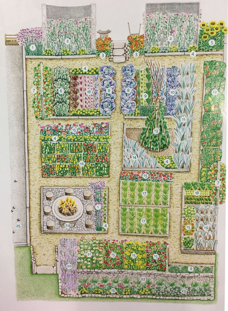 Схема огорода на кислых почвах